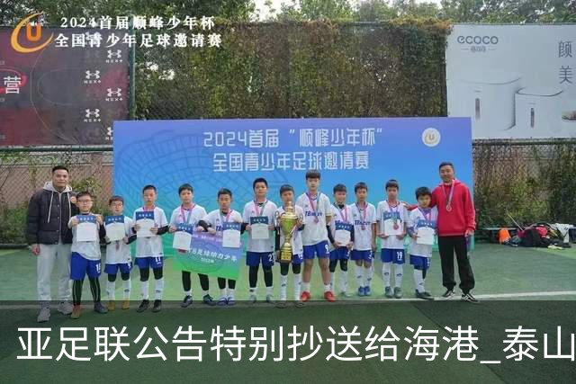 亚足联公告特别抄送给海港 泰山队尚有上诉可能